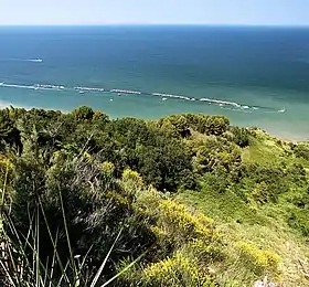 Vue des pentes du mont San Bartolo.