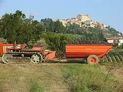 Tracteur à chenilles lors de vendanges à Montepulciano.