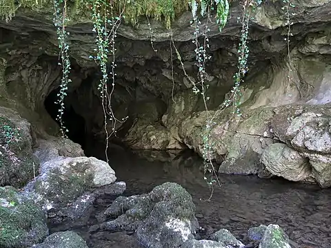 Porche de la grotte