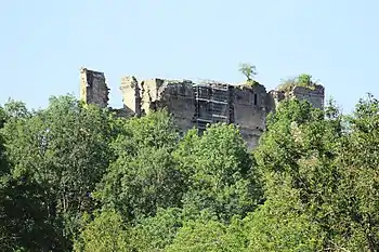 Le château de Montfort vu depuis la vallée.