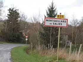 Montgaillard-de-Salies