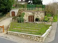 Vignoble, route de Cormeilles