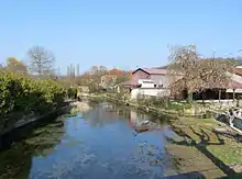 La Saulx à Montiers-sur-Saulx.