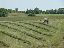 Photo d'une prairie fauchée où un tracteur andaine du foin avant l'emballage.