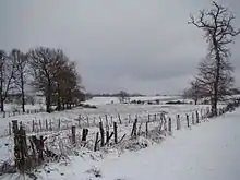 Photo couleur de pâturages clos de barbelés et arbres sous la neige. Le ciel est gris uniforme.