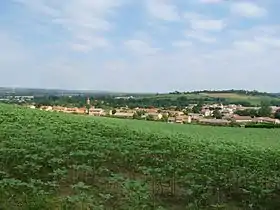 Montlaur (Haute-Garonne)