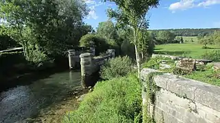 Vestiges du vieux pont sur le Rognon.