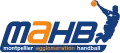 Logo de 2007 à 2012