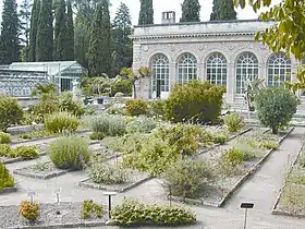 Jardin des plantes de Montpellier