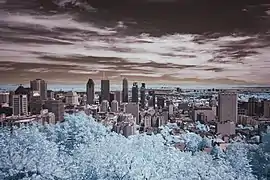 Une vue prise en infrarouge de Montréal depuis le mont Royal.