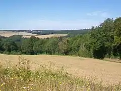 Paysage de la commune, vers Dampsmesnil .