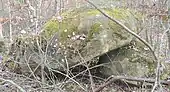 Dolmen de la cote du Tartre