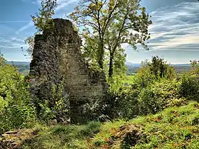 Ruine du donjon de l'ancien château.