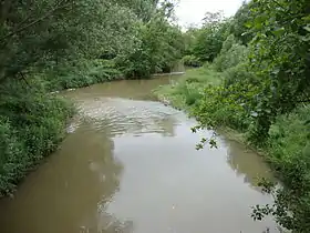 La Coise, tributaire de la Loire.