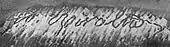 signature d'Augusto Rivalta