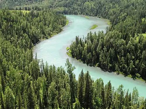 La rivière Kanas en Dzoungarie