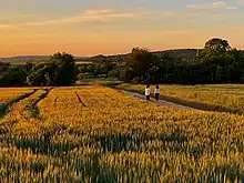 Promenade à Morainvilliers au coucher de soleil