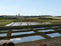 Marais salants à Mornac-sur-Seudre.