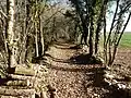 Chemin du fer entre la Pipaudie et le Quéroy.