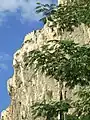 Vue en contre-plongée depuis la Grande Rue du village sur la falaise calcaire.