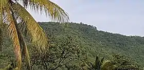 Vue du morne Capado depuis la pointe du Petit Bas-Vent.