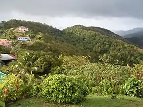 Vue du sommet du Morne Gommier depuis le point de vue.