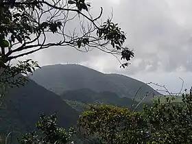 Vue du morne Léger depuis la Mamelle de Petit-Bourg.