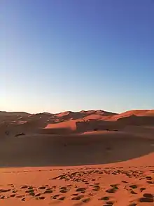 La photographie montre les dunes jaune orangé du Sahara sous un ciel bleu sans nuages.