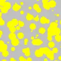 Ensemble de Boole Matheron (jaune), (disques de taille variable)