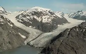 Vue aérienne des glaciers Morse (à gauche) et Muir (à droite) en 1994, alors qu'ils convergeaient encore.