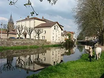 Les rives de la Mortagne.