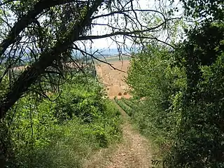 Le GR 13 à l'arrivée à Vézelay.