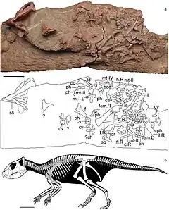 Description de cette image, également commentée ci-après