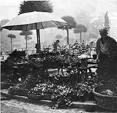 Vendeuse de fleurs, 1929