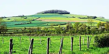 Le Mont Rond (476 m). Pâturages, forêts et bois font le paysage de la commune.