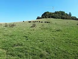 Motte castrale de Chaillon