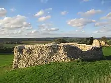 Ruines du château.