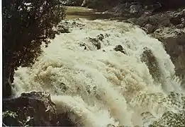 Les Chutes du Motu près du village de Motu en 1969.