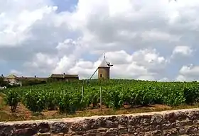 Un des Crus du Beaujolais : le moulin-à-vent.