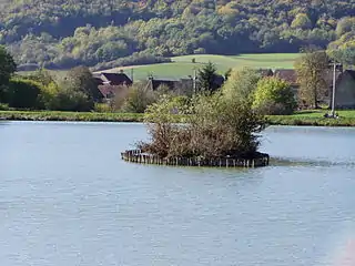 Étang du Moulin.