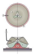 Coupe transversale d'un moulin à bras de type dacique1-Pivot 2-Levier 3-Meule courante 4-Meule gisante 5-Support