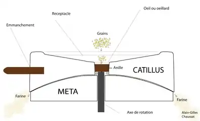Meule de moulin gallo-romain (coupe).