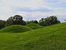 Tertres de la culture Hopewell (Mound City Group), Ohio, États-Unis