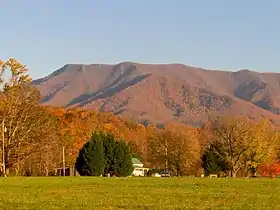 Vue du mont Cammerer en direction du sud depuis Cosby.