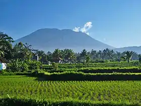 L'Agung vu depuis le sud dominant des rizières.