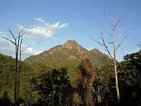 Vue du mont Barney.