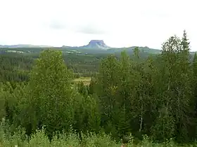 Hattfjelldal