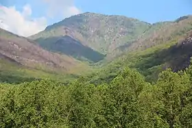 Le mont Le Conte, depuis le point de vue de Carlos Campbell.