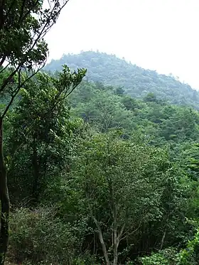 Vue du mont Matsuo depuis le mont Shirakami.