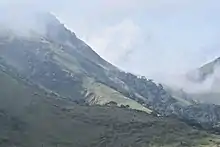 À mesure que l'on gagne en altitude, la flore change : la forêt équatoriale humide laisse place à une flore de montagne (beaucoup plus rase).